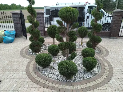 Strefa ogrodu usługi ogrodnicze